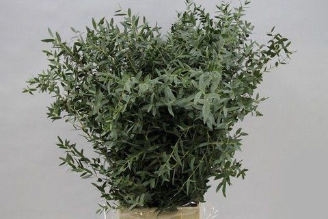 букеты из цветов заказать