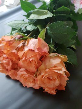 киев рози на заказ
