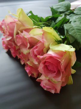киев купить розы гиганты