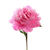 Пион